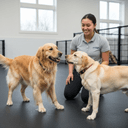 Pet Daycare in Bronxville, NY: A Complete Guide for Dog Owners
