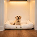 Dog Boarding in Dobbs Ferry NY: What to Expect at Woof'z N Wagz