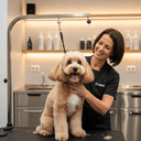 How to Choose a Dog Groomer in Pelham, NY — Your Complete Guide